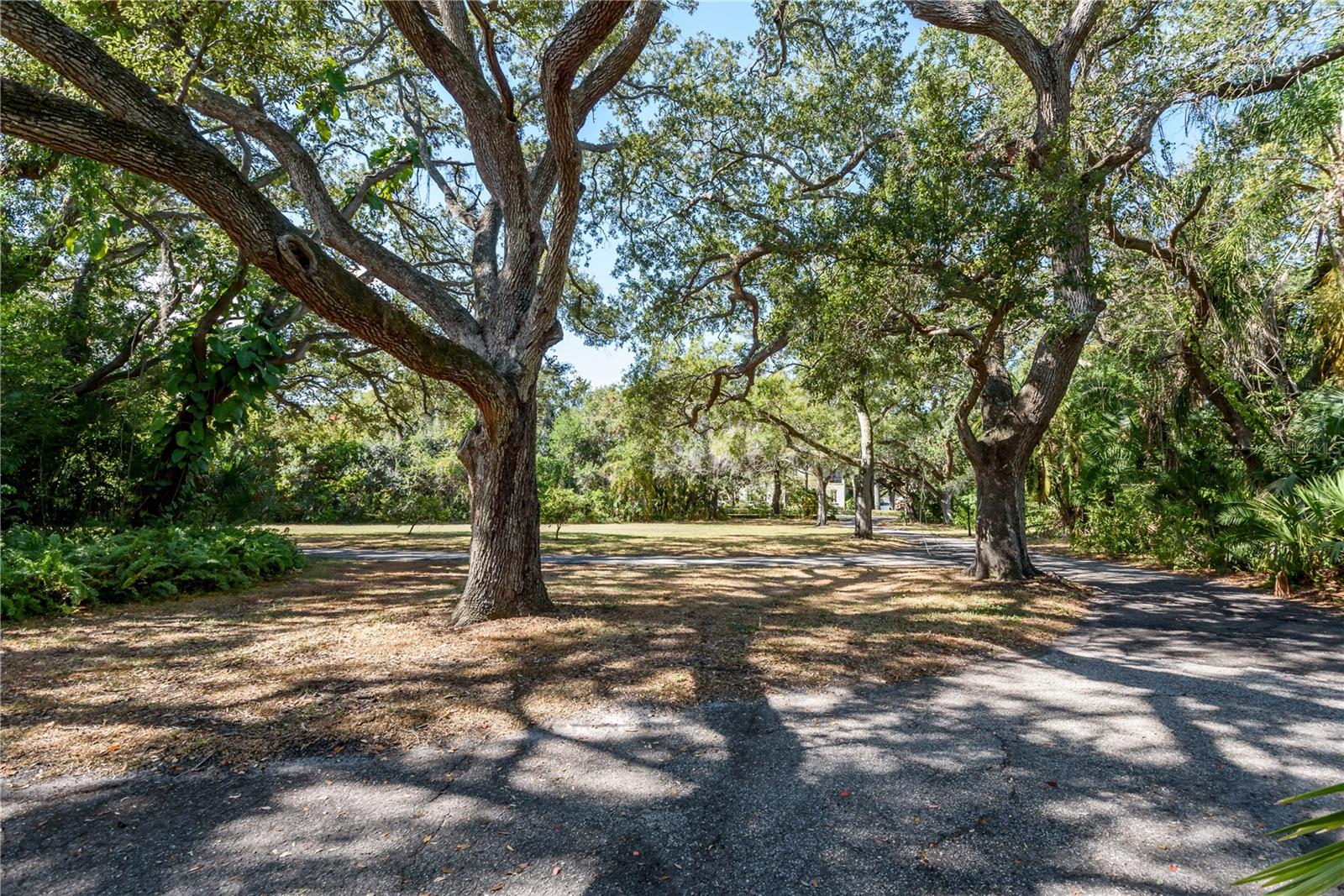 6210 Bayshore Blvd Property Photo 21