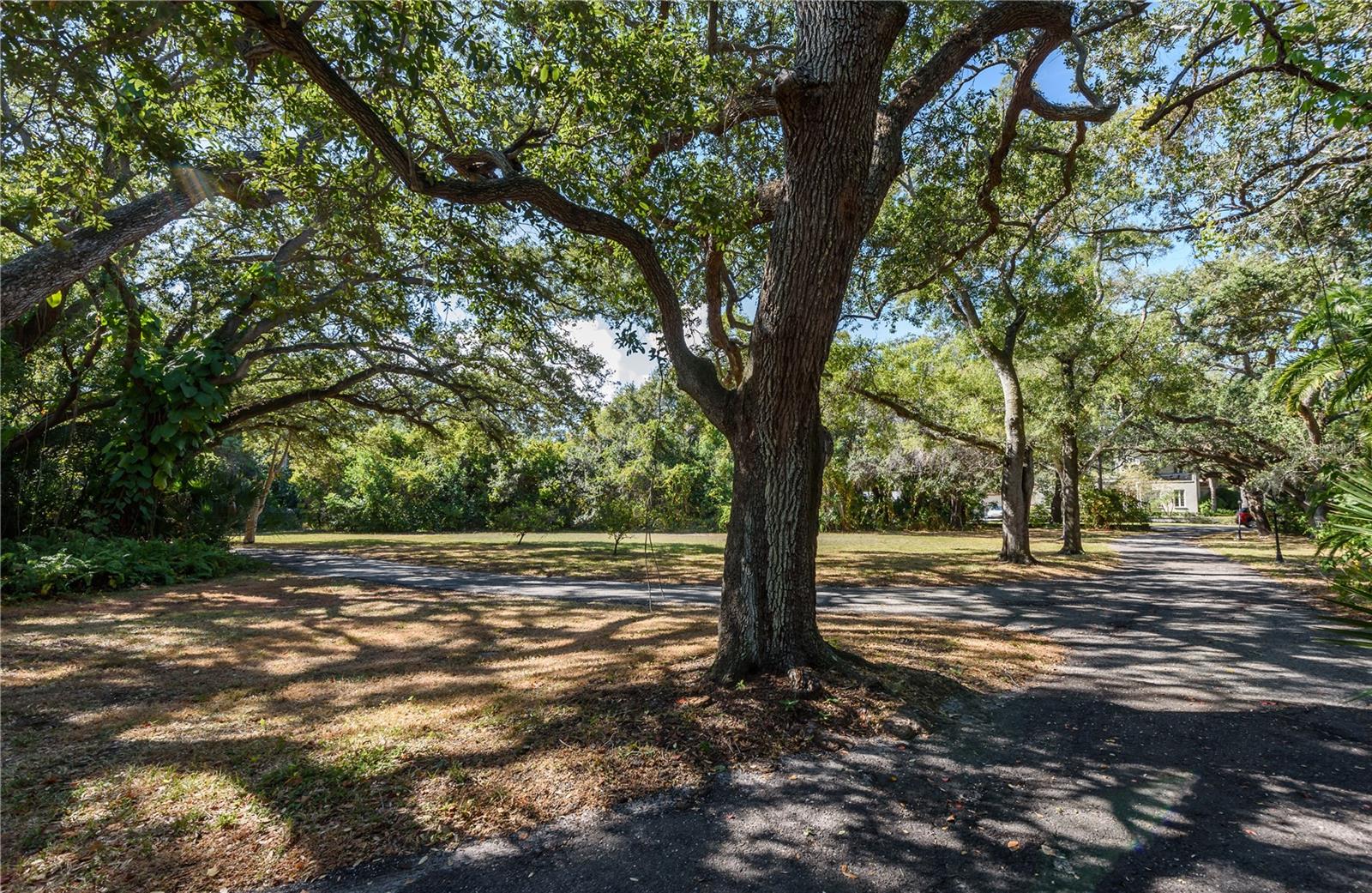 6210 Bayshore Blvd Property Photo 22