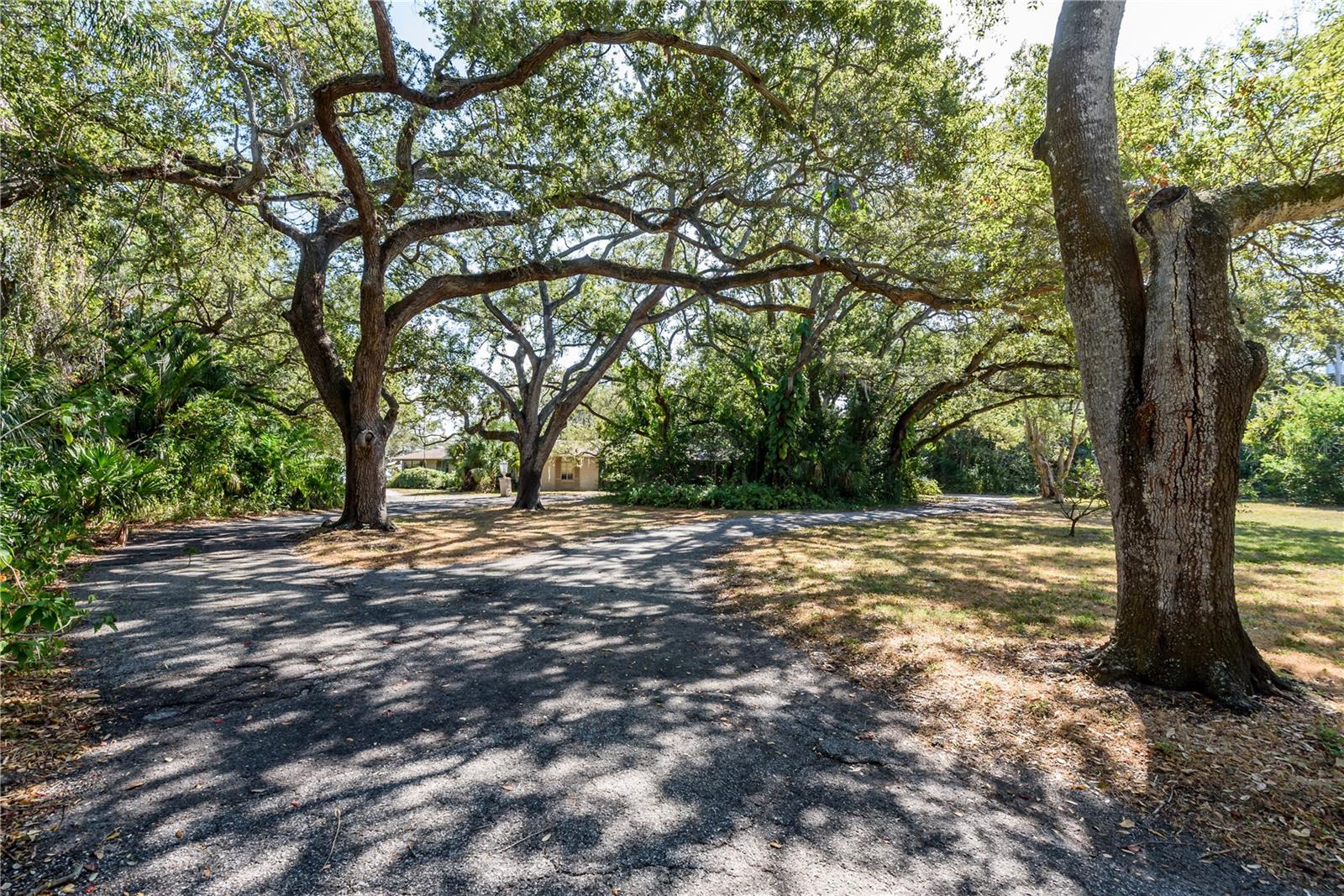 6210 Bayshore Blvd Property Photo 23