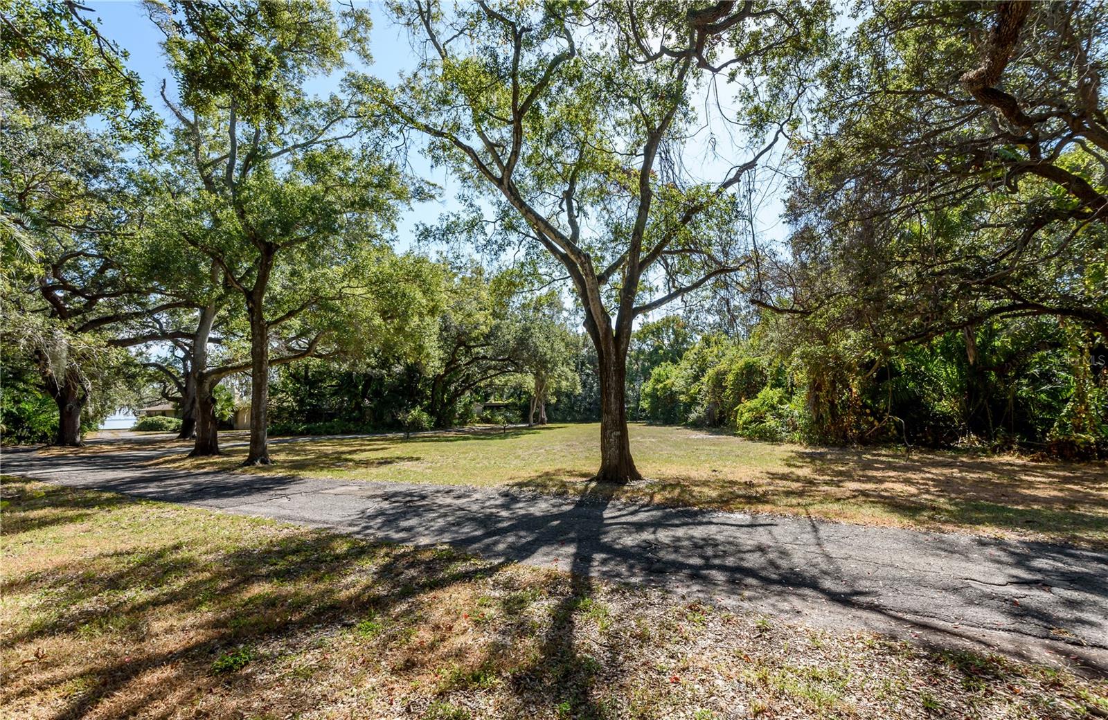 6210 Bayshore Blvd Property Photo 24