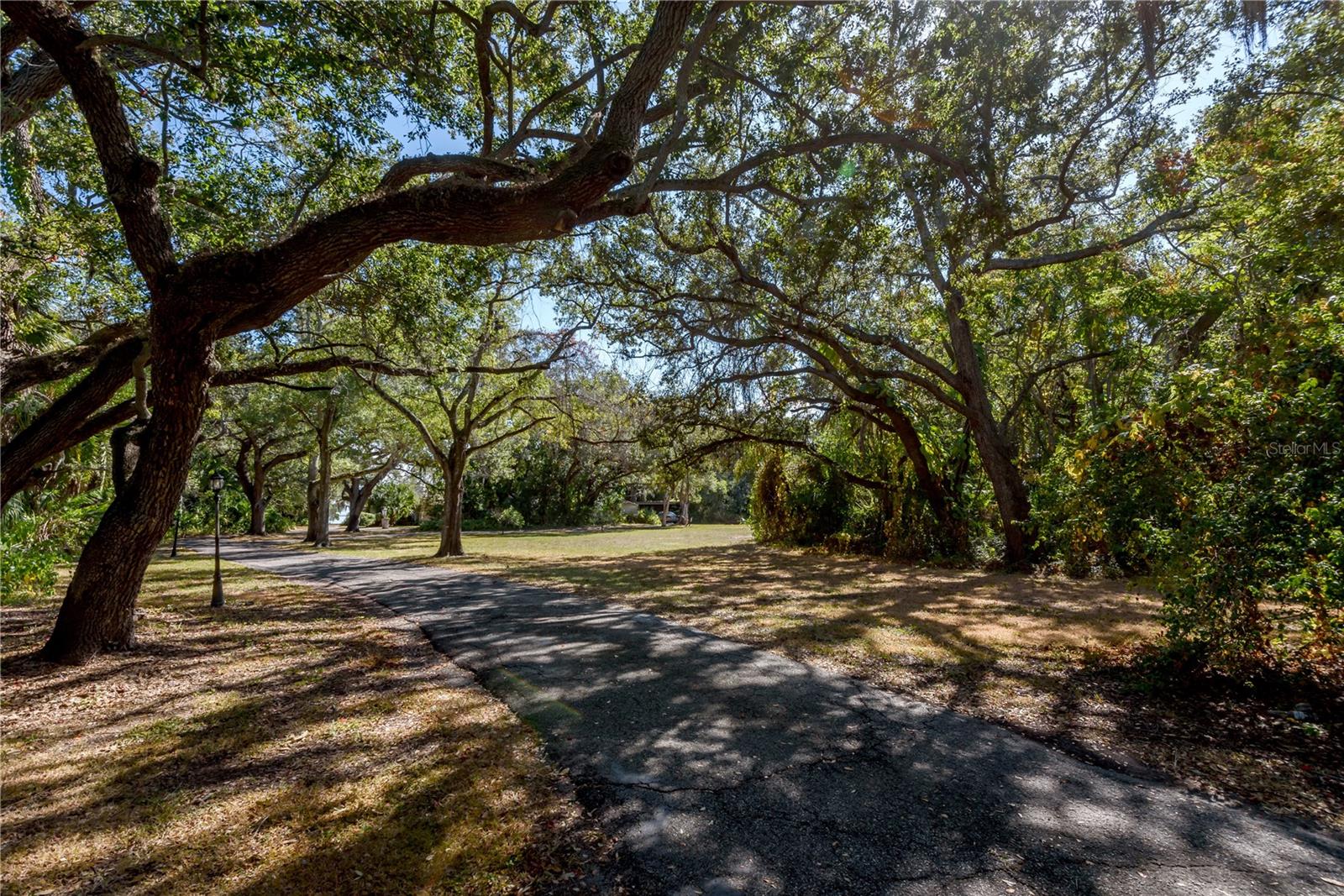 6210 Bayshore Blvd Property Photo 25