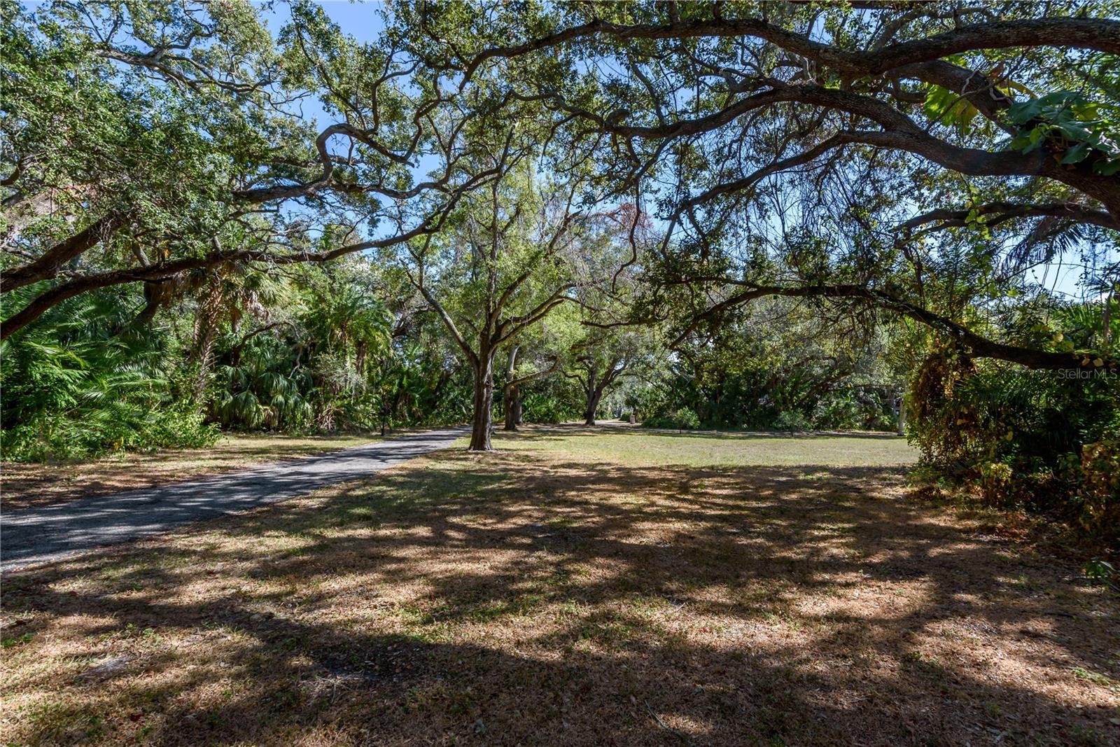 6210 Bayshore Blvd Property Photo 26
