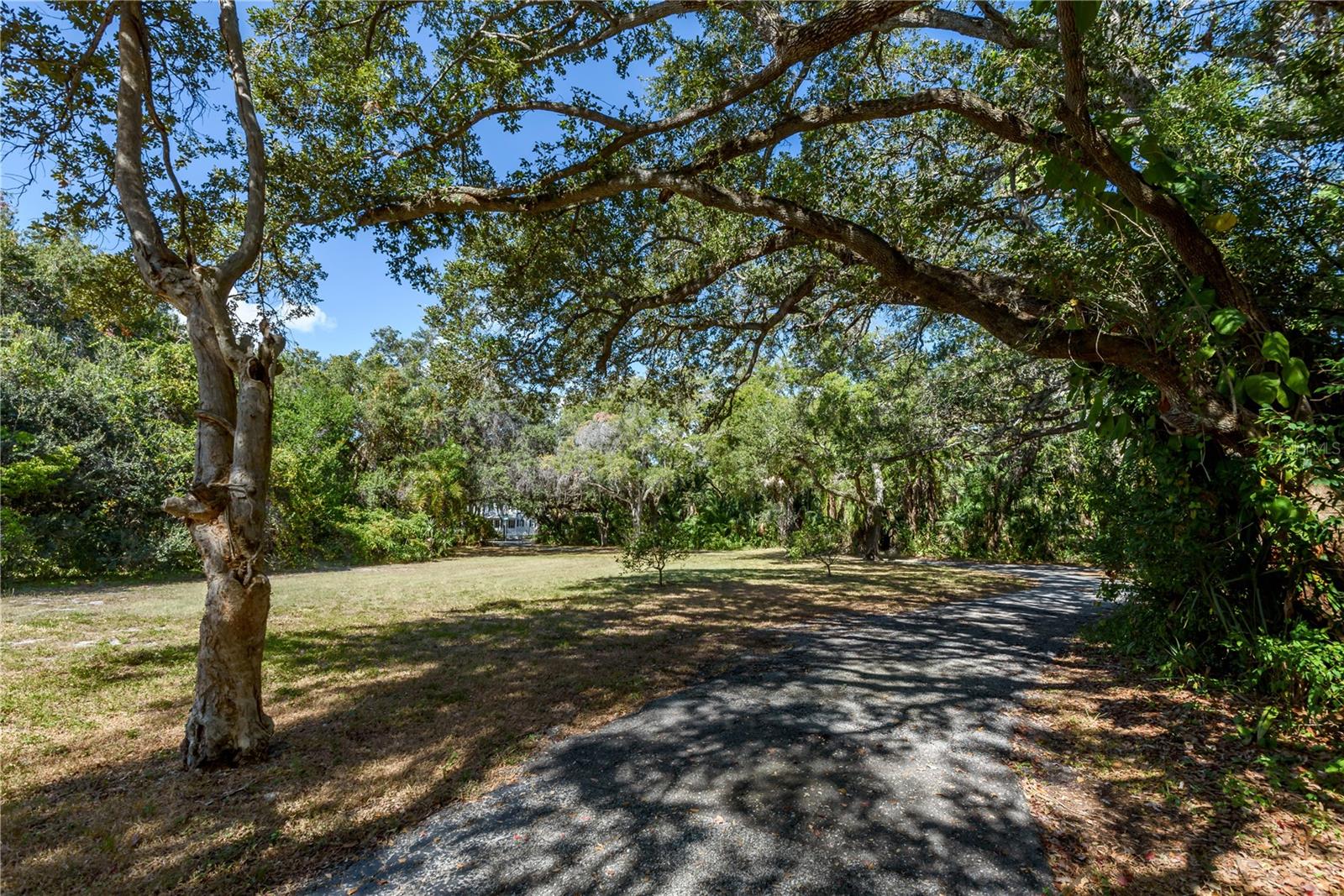 6210 Bayshore Blvd Property Photo 27