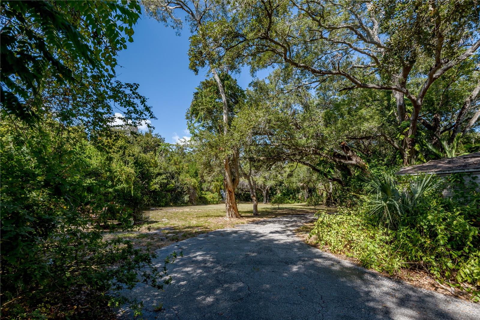 6210 Bayshore Blvd Property Photo 28