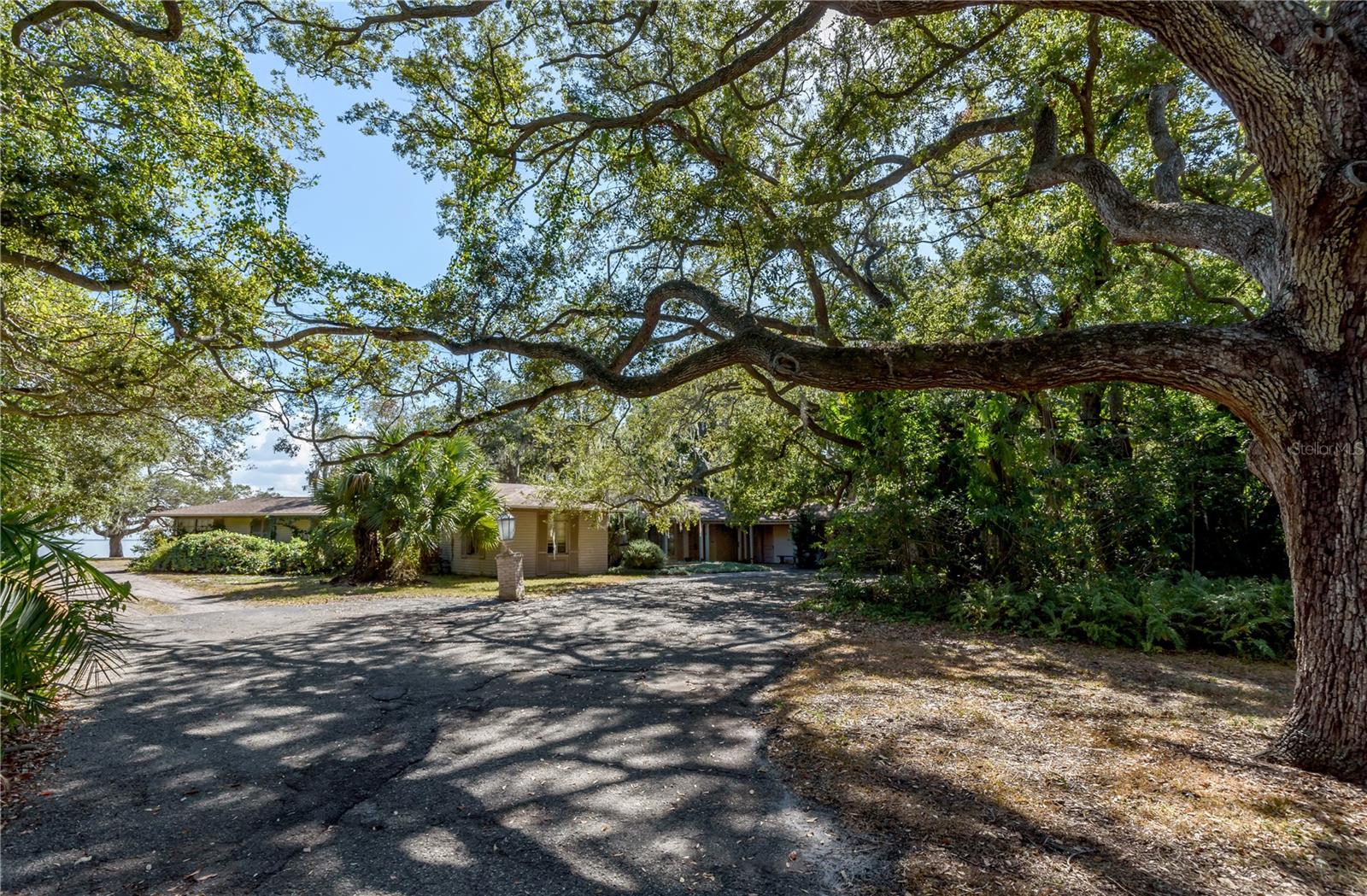 6210 Bayshore Blvd Property Photo 30