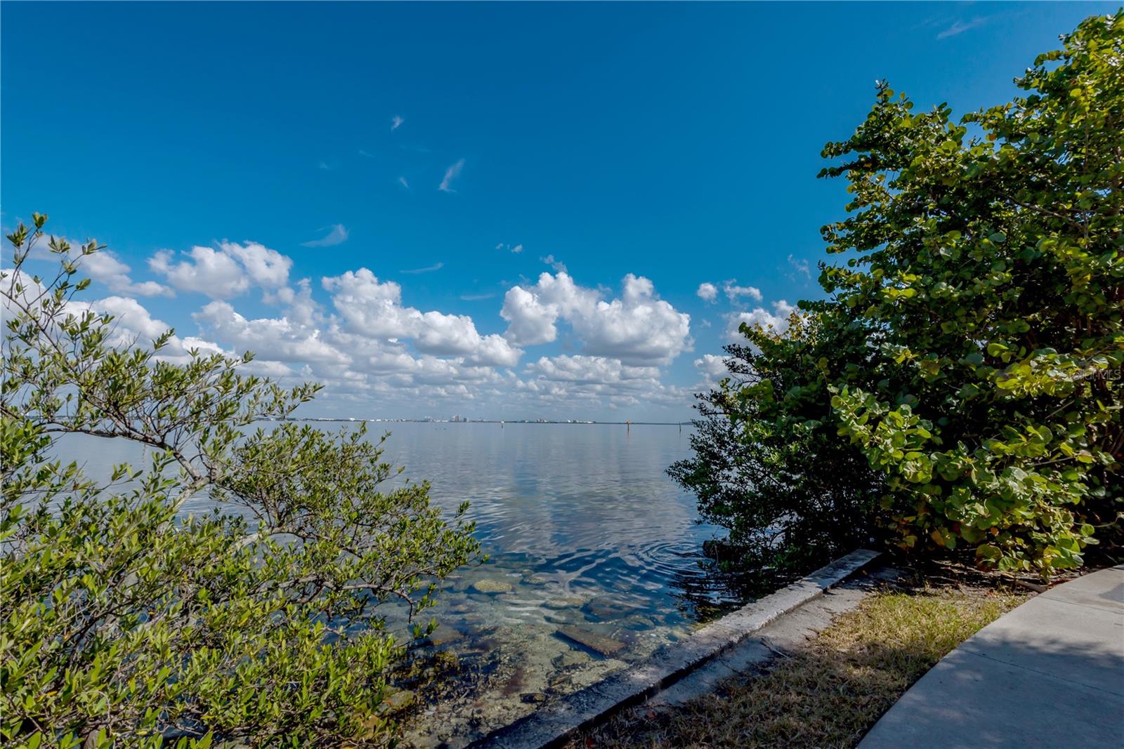 6210 Bayshore Blvd Property Photo 31
