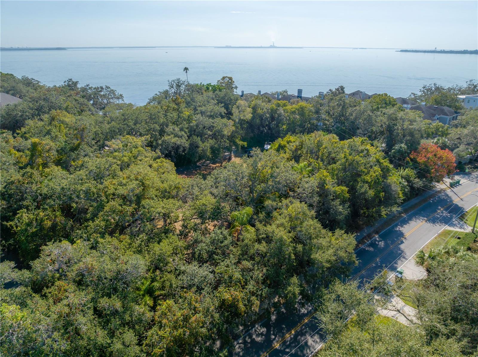 6210 Bayshore Blvd Property Photo 33