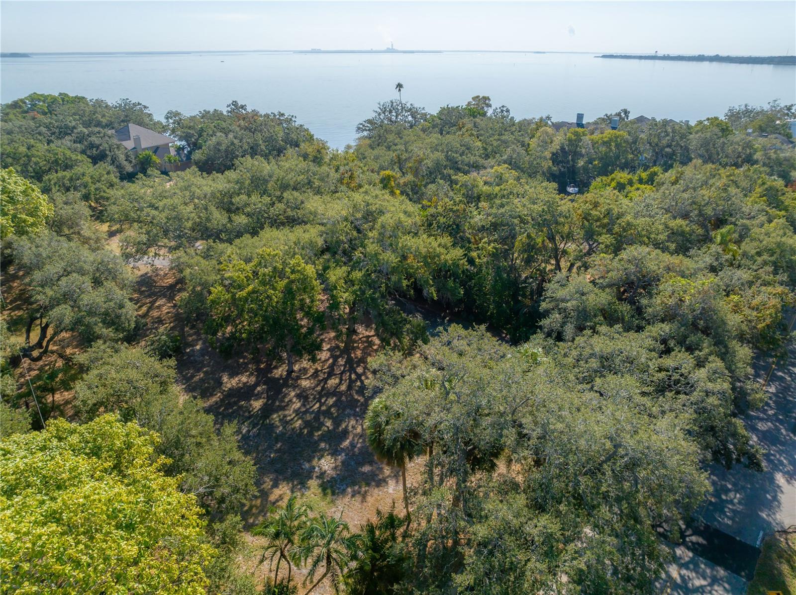 6210 Bayshore Blvd Property Photo 37