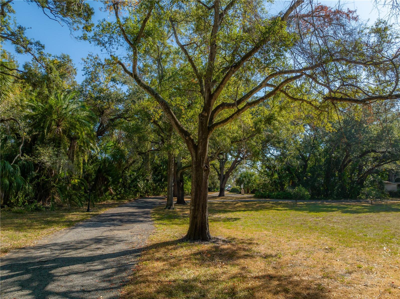 6210 Bayshore Blvd Property Photo 42