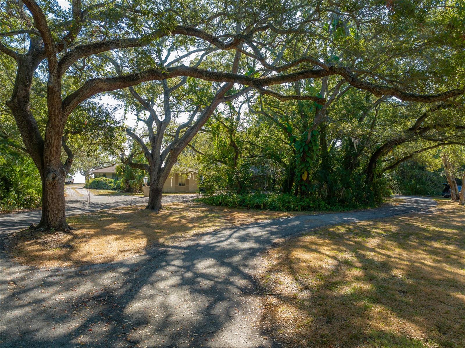 6210 Bayshore Blvd Property Photo 43