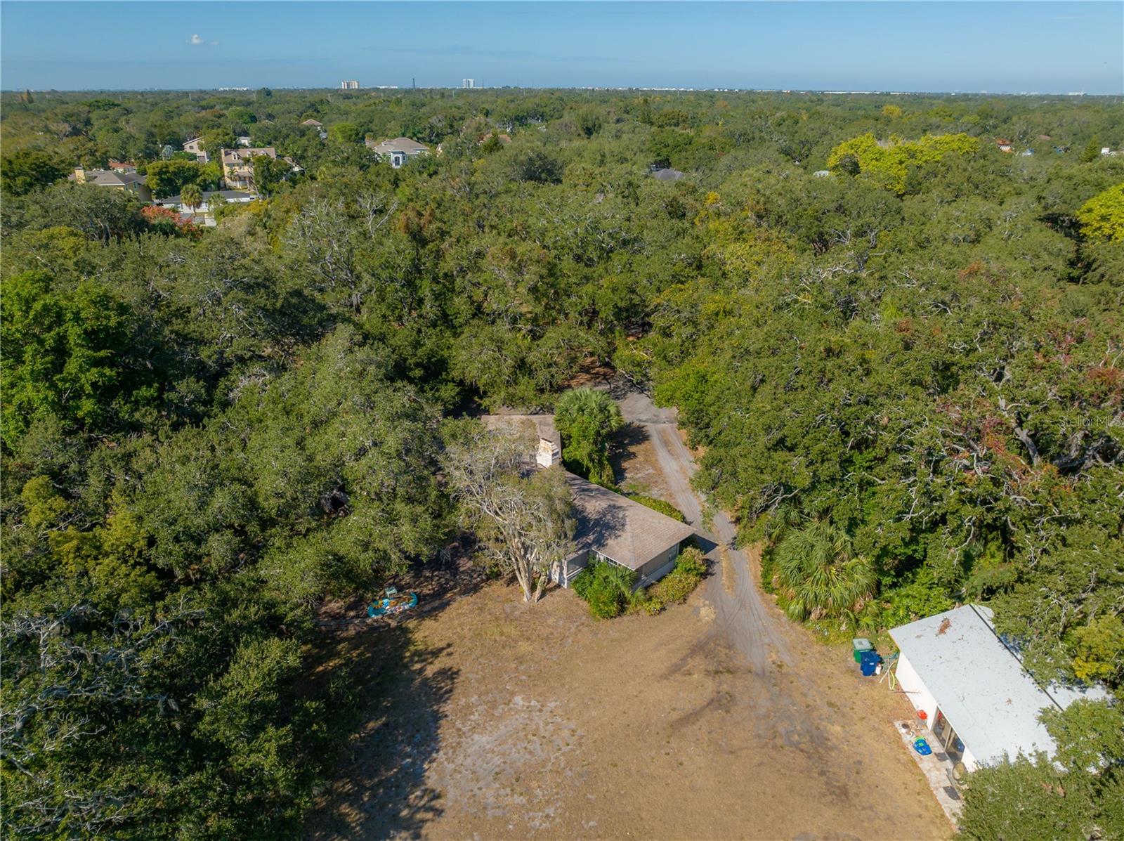 6210 Bayshore Blvd Property Photo 55