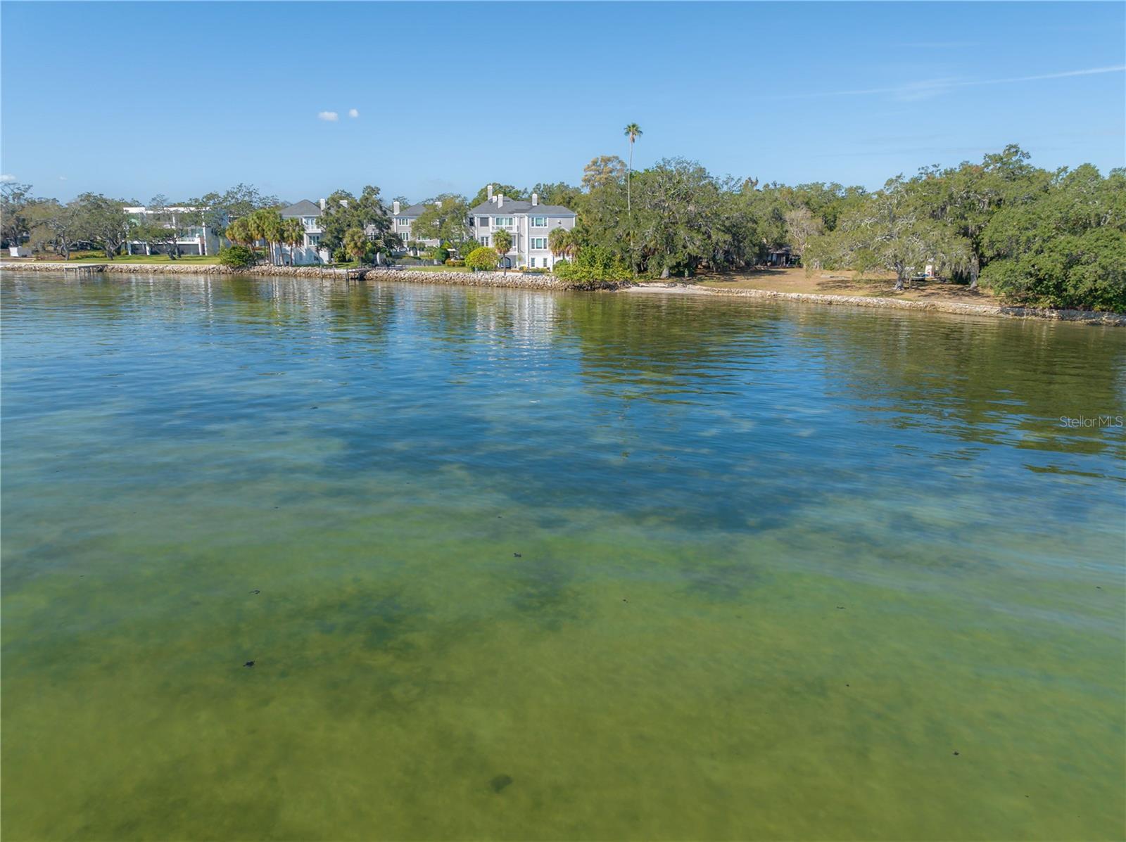 6210 Bayshore Blvd Property Photo 57