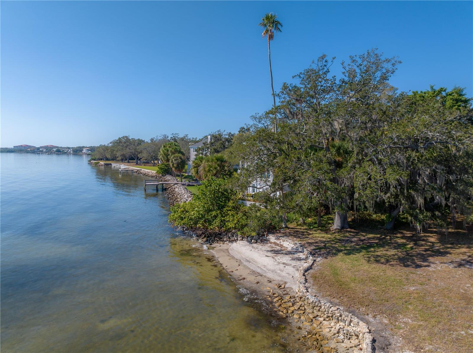 6210 Bayshore Blvd Property Photo 60
