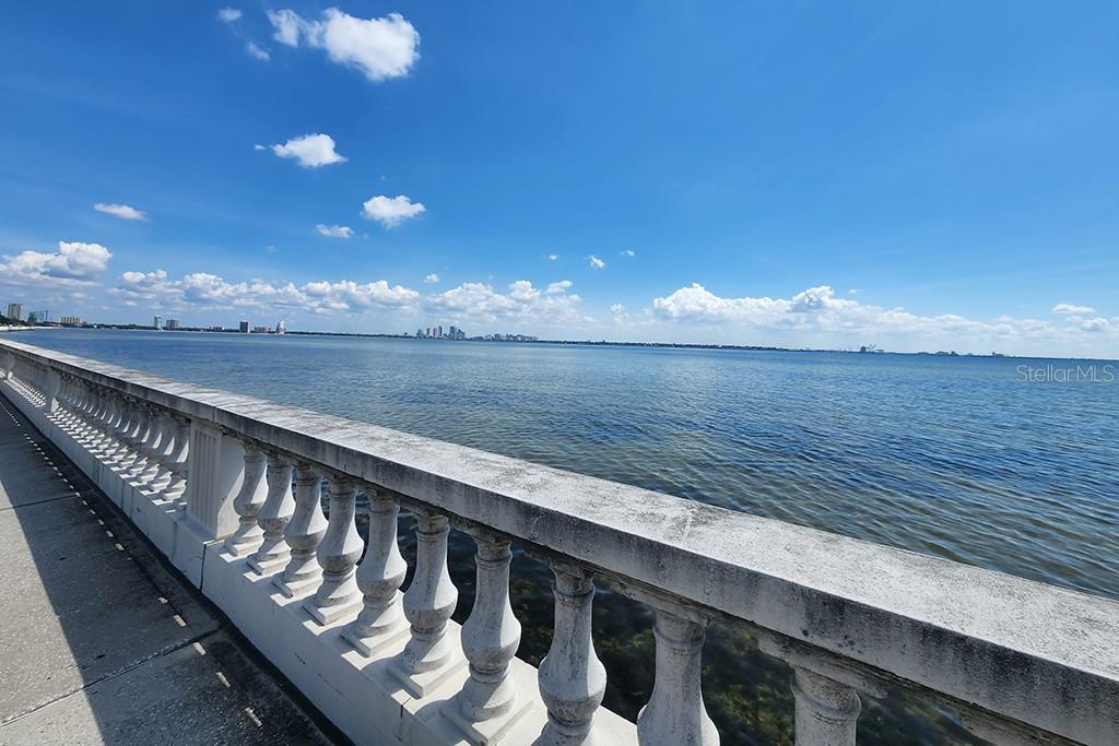 6210 Bayshore Blvd Property Photo 61
