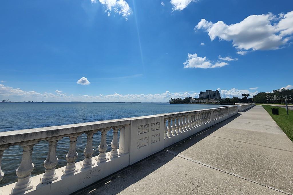 6210 Bayshore Blvd Property Photo 62