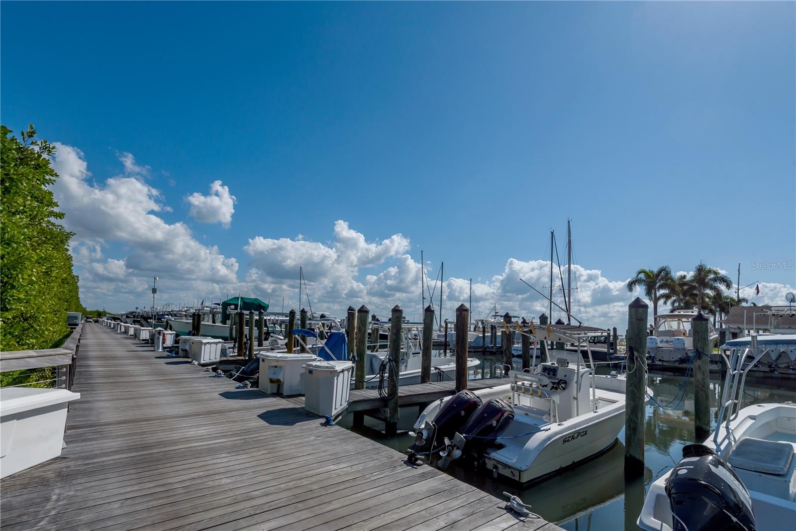 6210 Bayshore Blvd Property Photo 64