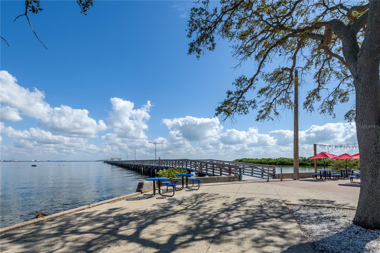6210 Bayshore Blvd Property Photo 67