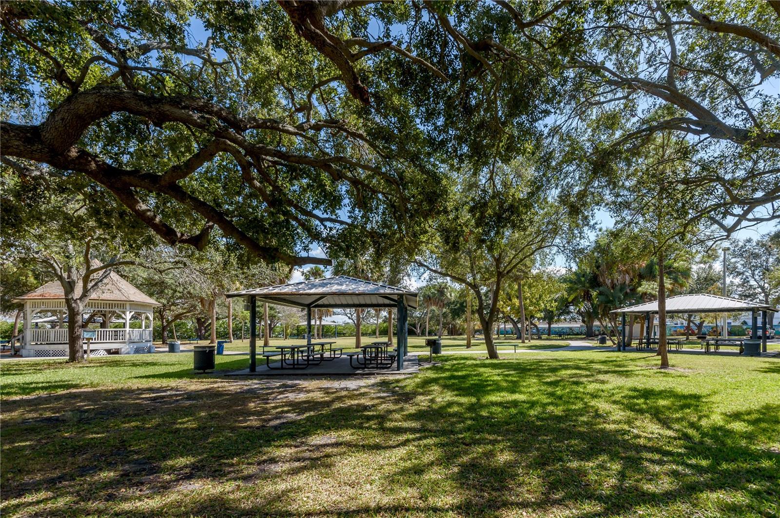 6210 Bayshore Blvd Property Photo 69