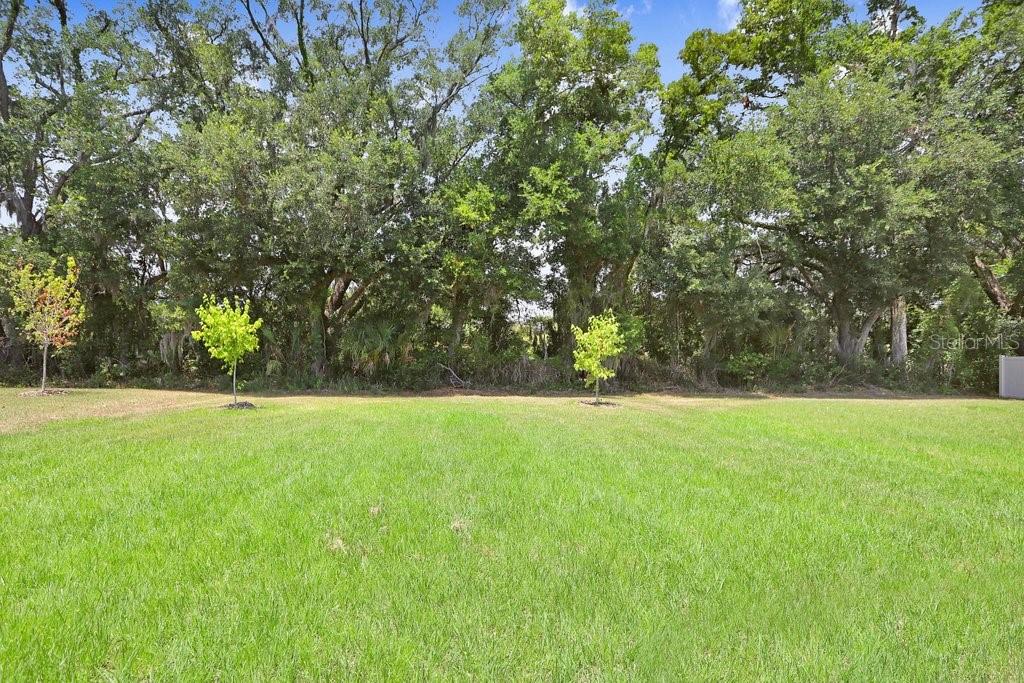 2437 Orange Harvest Pl Property Photo 27
