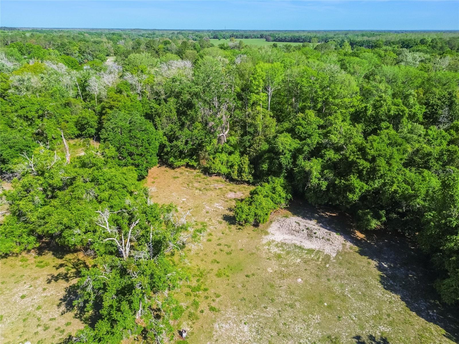 12500 Hamlin Rd Property Photo 21