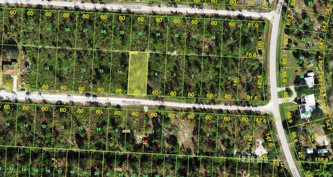 27118 CHAMOIS DR Property Photo 1