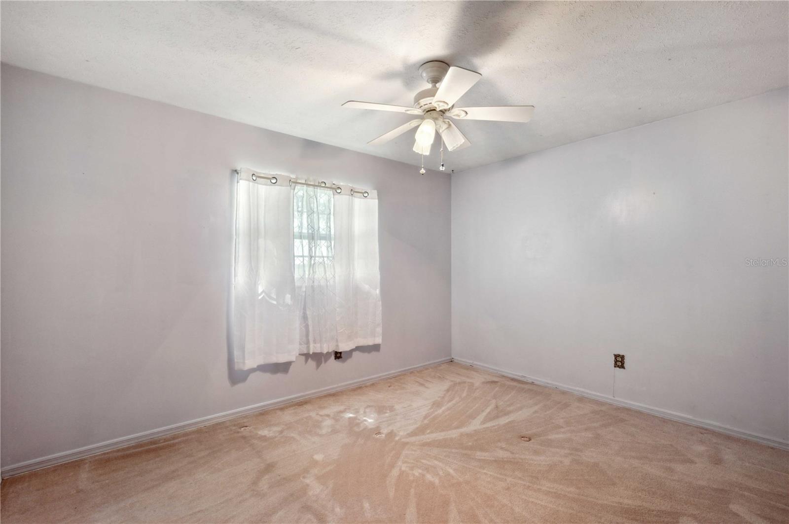 31226 Saint Joe Rd Property Photo 23