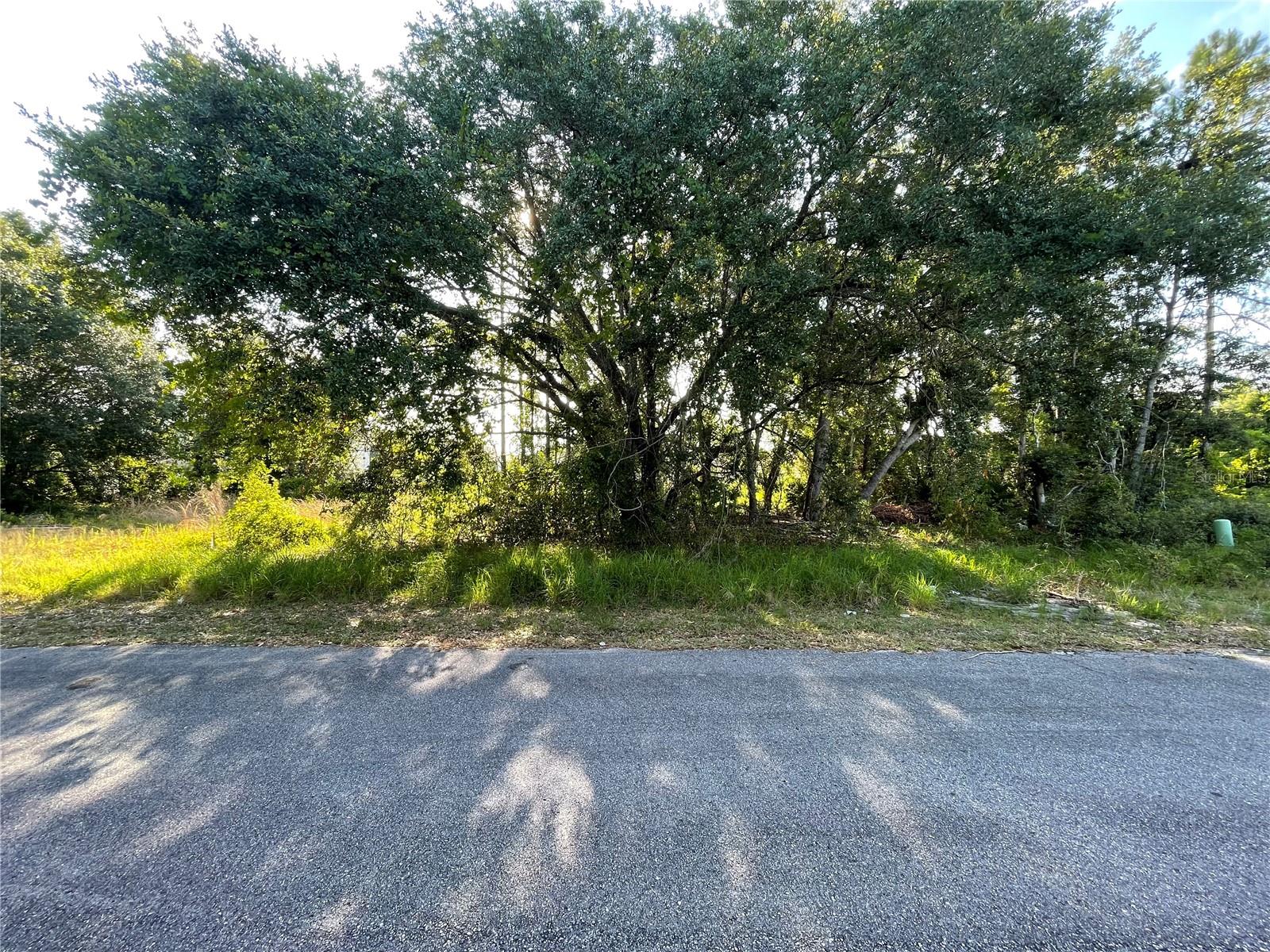 1613 Tench Ct Property Photo 1