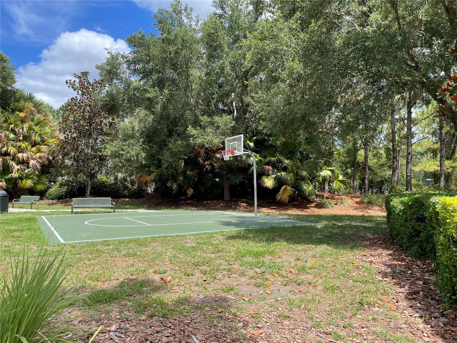 3800 Silverlake Way Property Photo 25