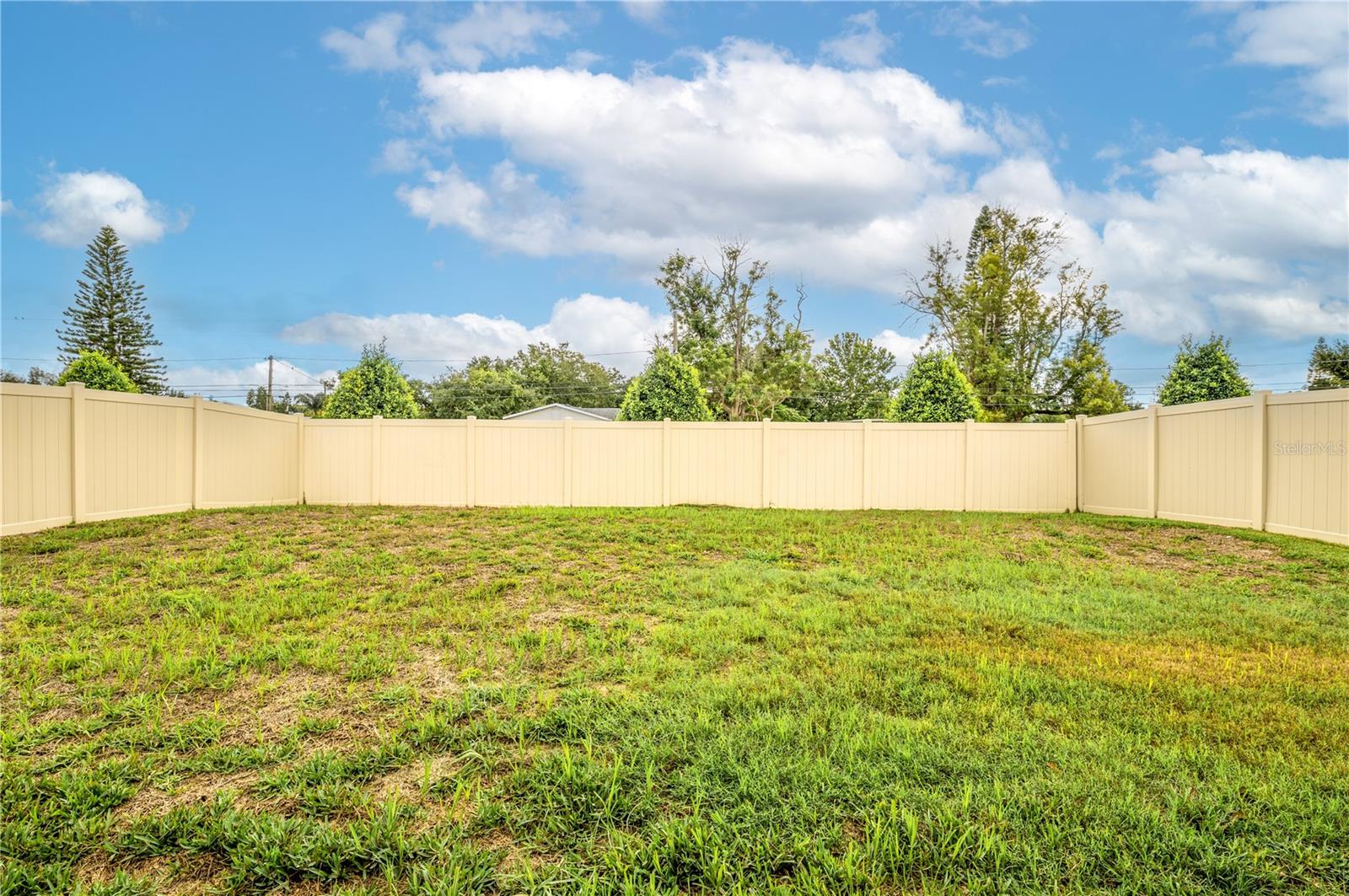 409 Serenity Mill Loop Property Photo 31