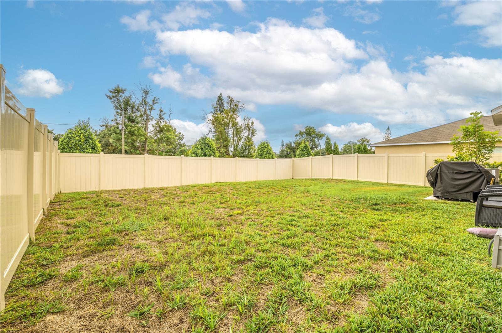 409 Serenity Mill Loop Property Photo 33