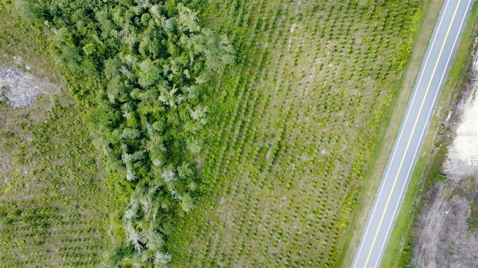 Sr 71 S Property Photo 8