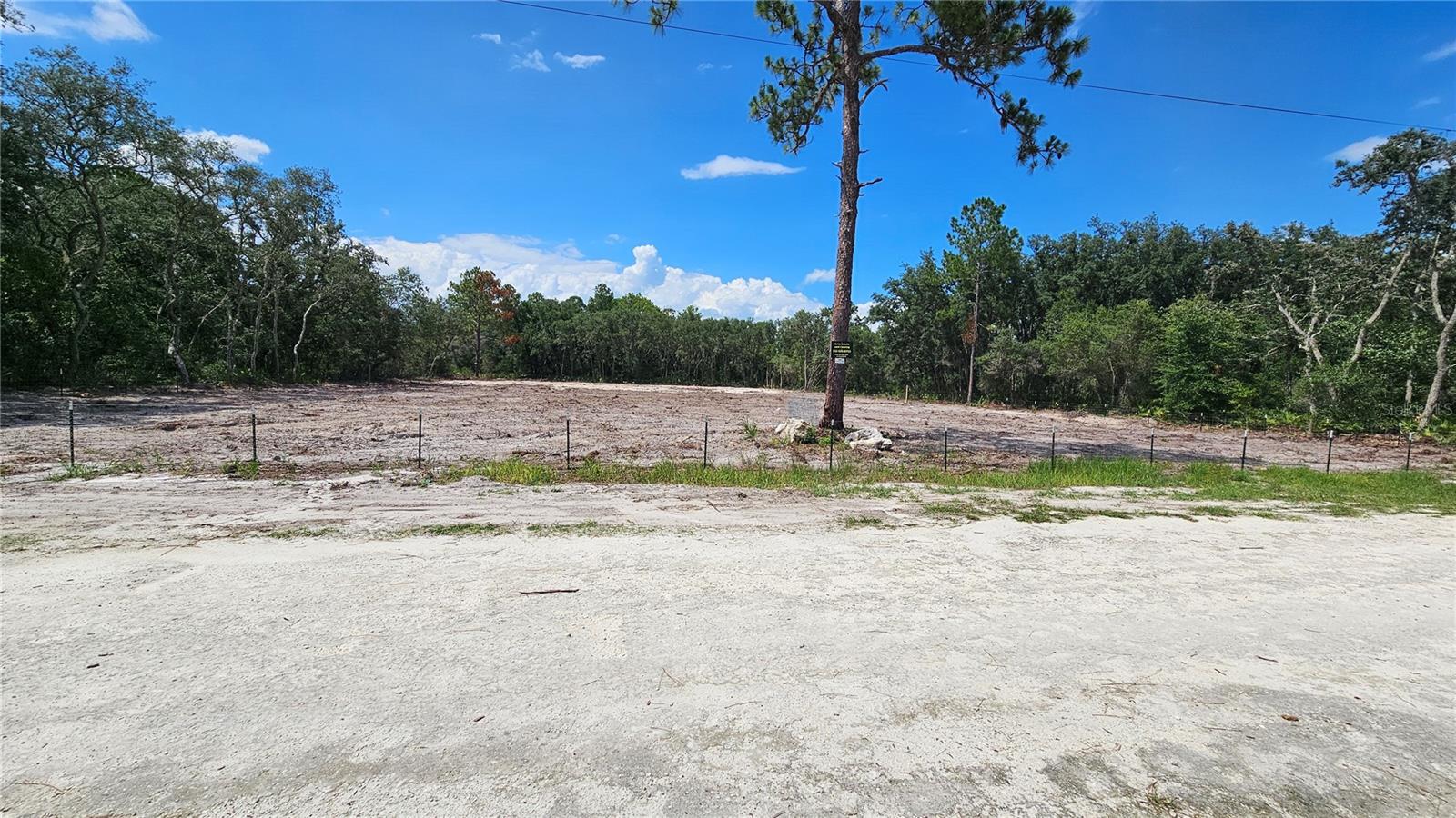 35391 Overcup Dr Property Photo 3