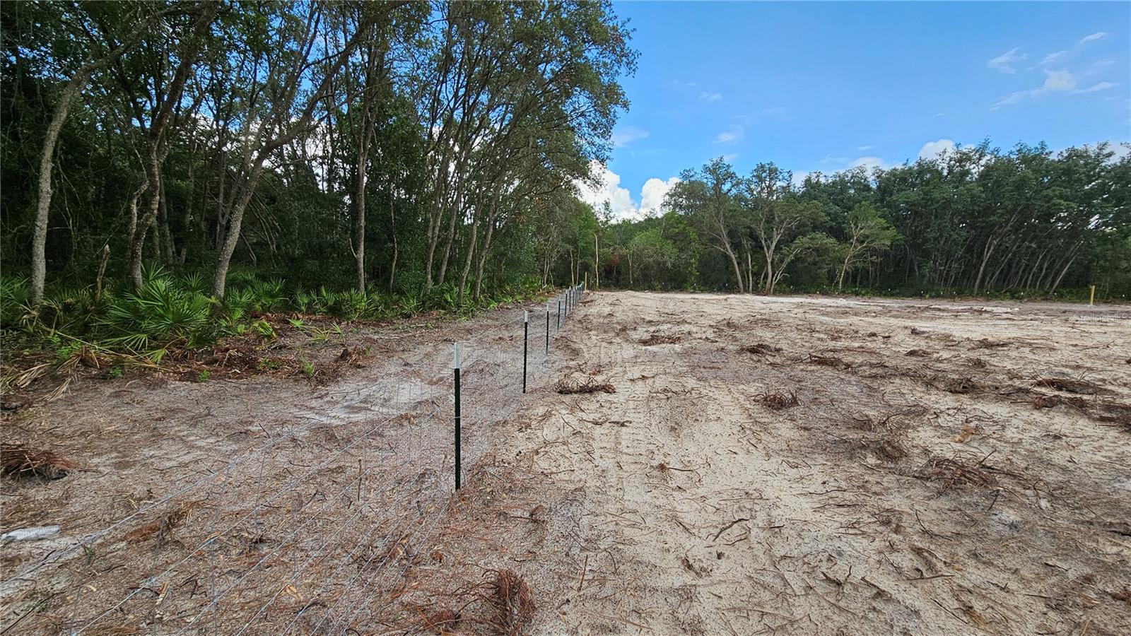 35391 Overcup Dr Property Photo 4