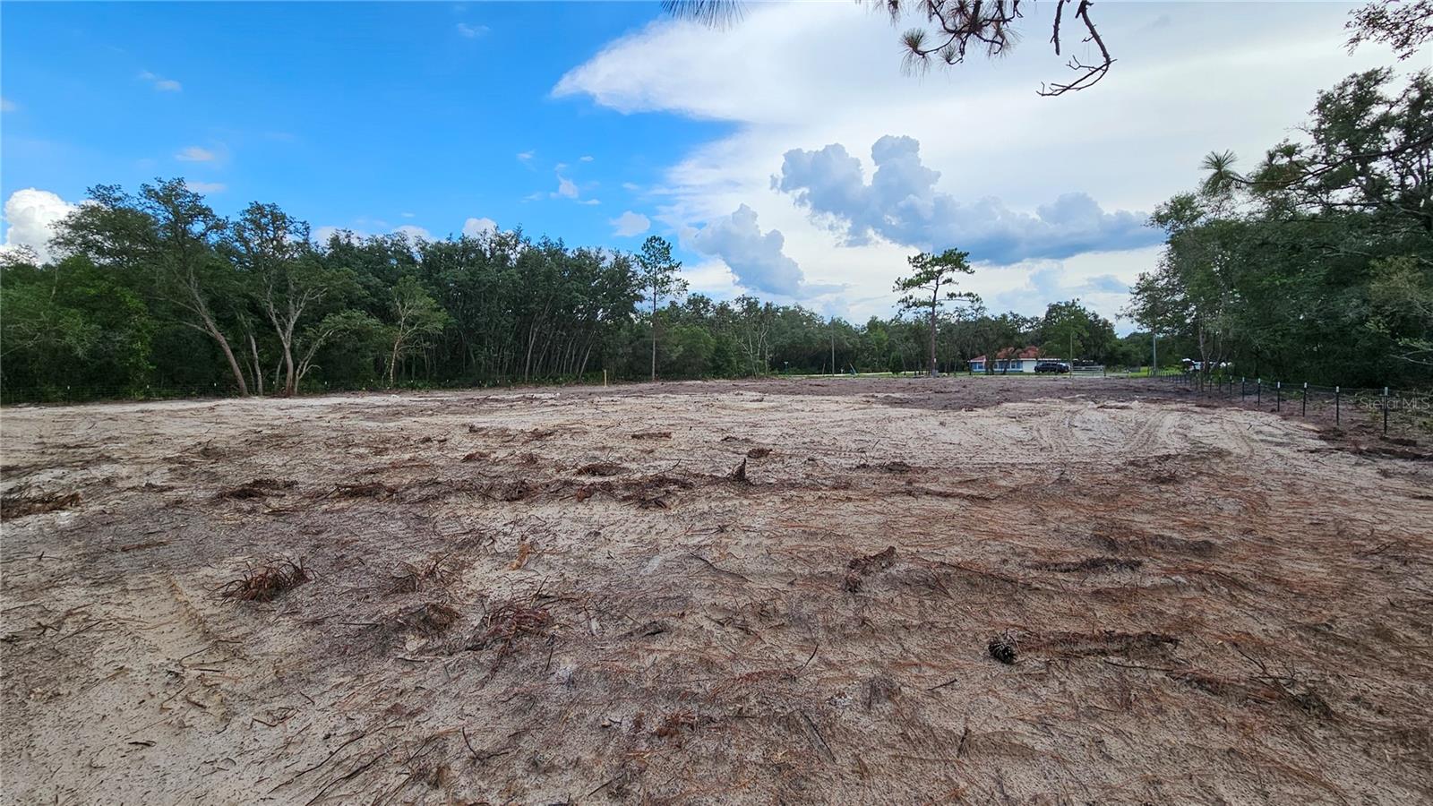 35391 Overcup Dr Property Photo 5