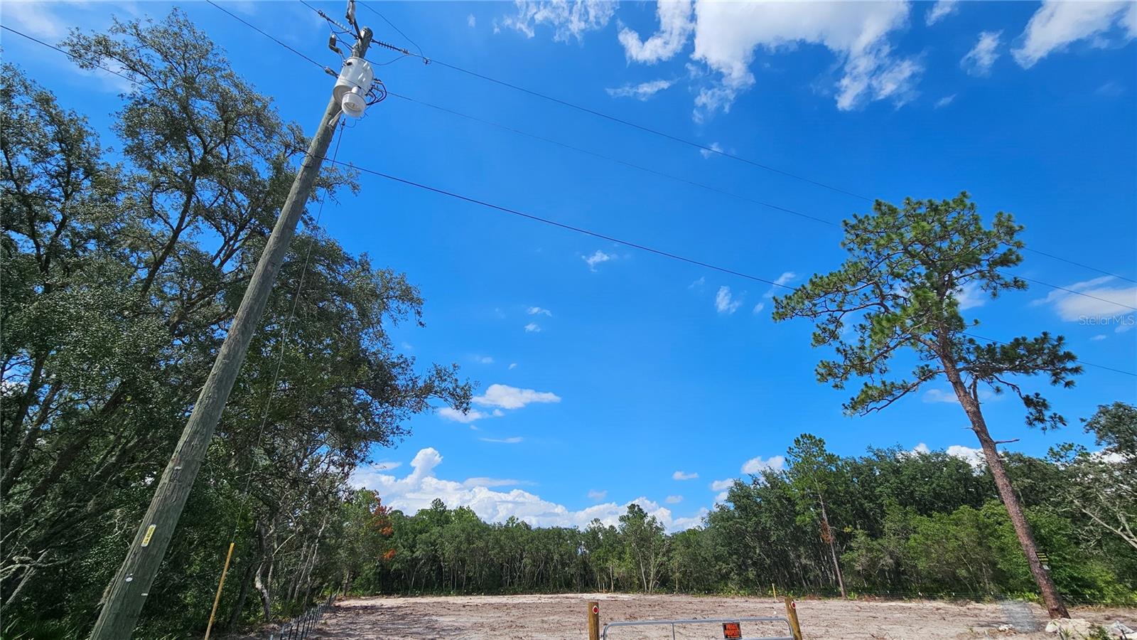 35391 Overcup Dr Property Photo 6