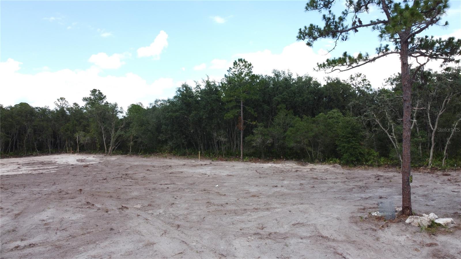 35391 Overcup Dr Property Photo 9