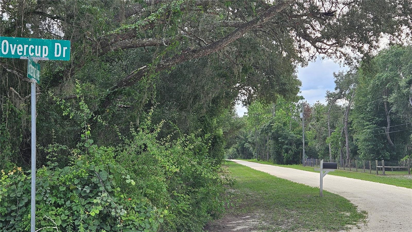 35391 Overcup Dr Property Photo 16