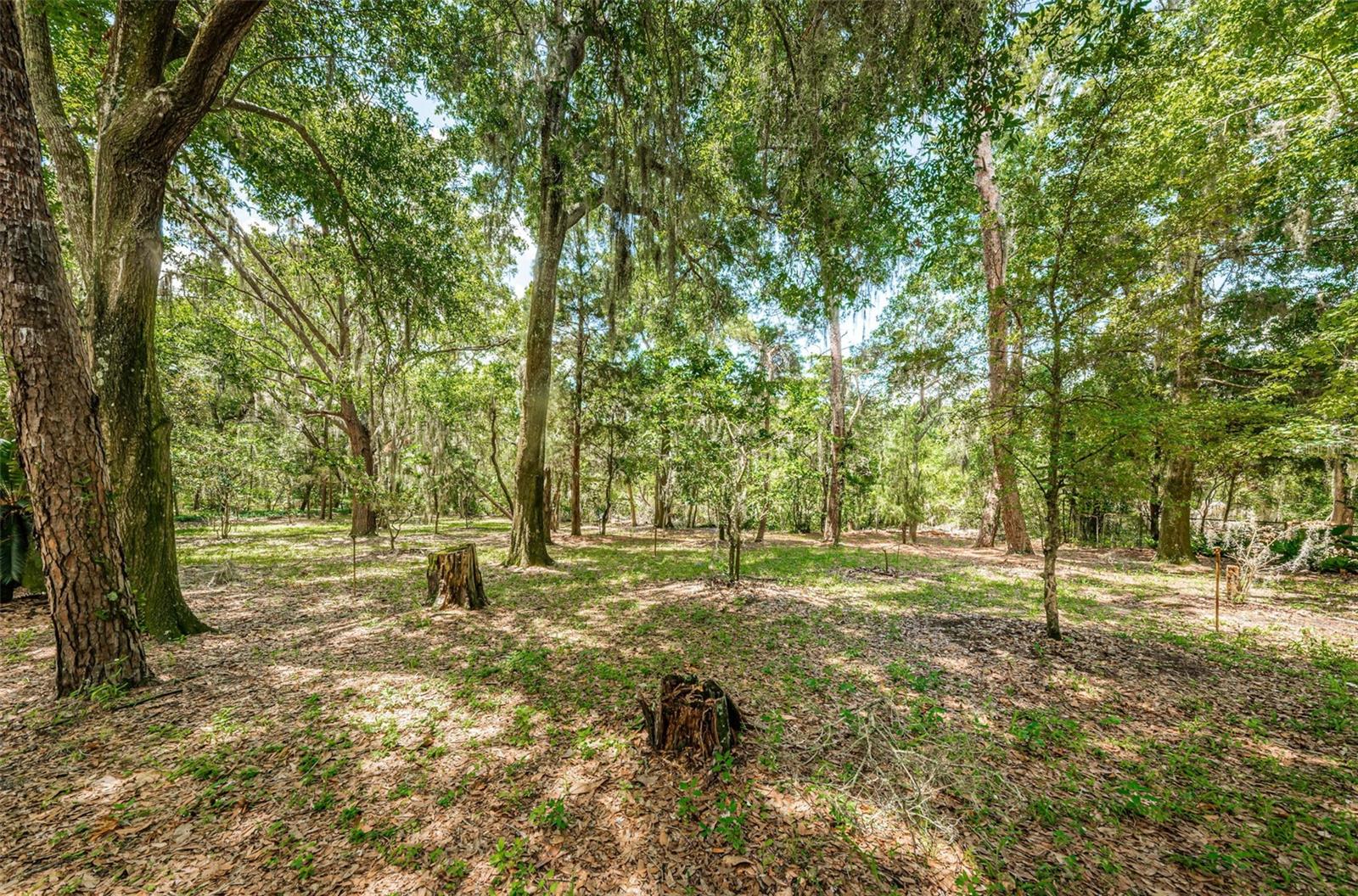 2271 Keystone Rd Property Photo 58