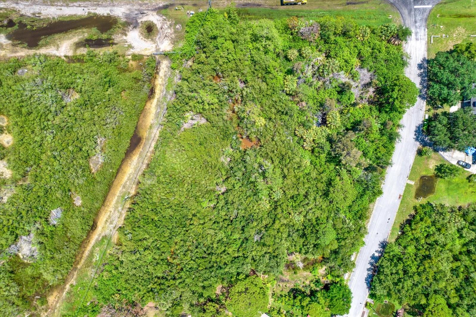 Osceola Ct Ne Property Photo 10