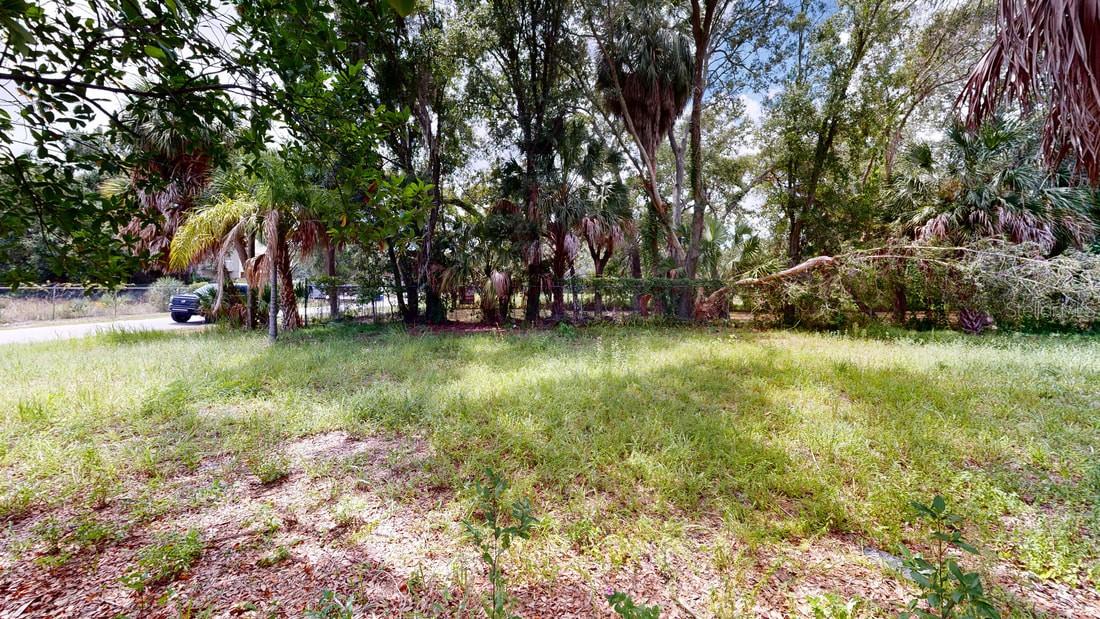 5115 W Grace St Property Photo 4