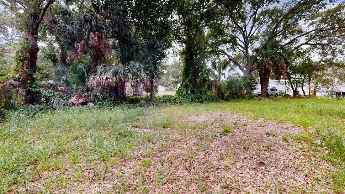5115 W Grace St Property Photo 6