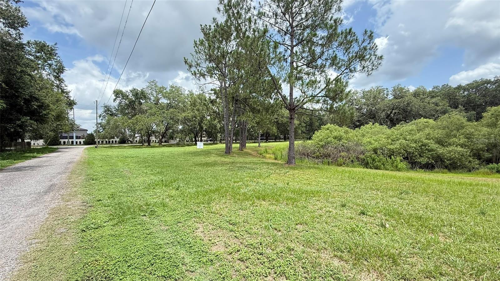 29956 New Dutch Ln Property Photo 1