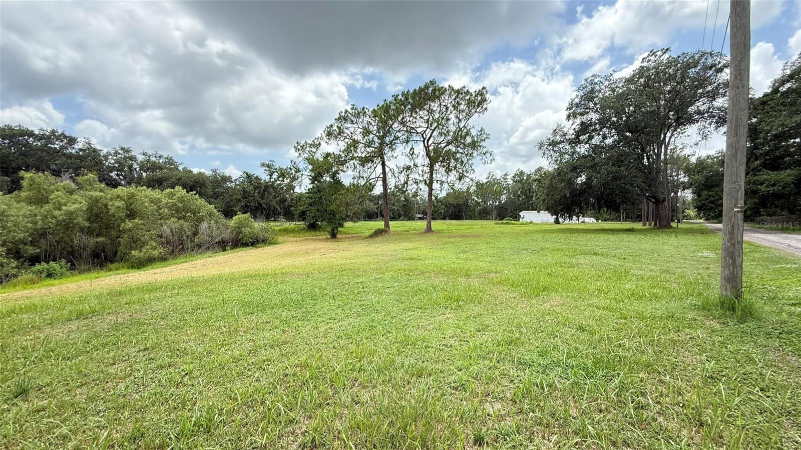 29956 New Dutch Ln Property Photo 2