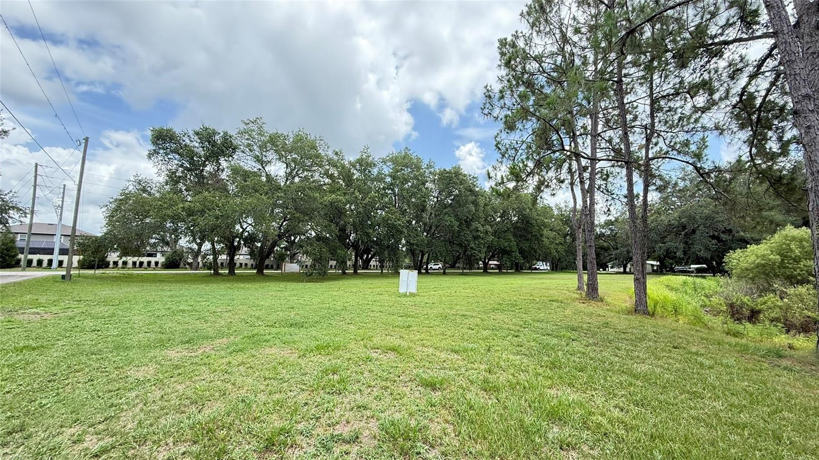 29956 New Dutch Ln Property Photo 3