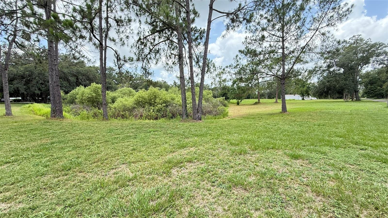 29956 New Dutch Ln Property Photo 4