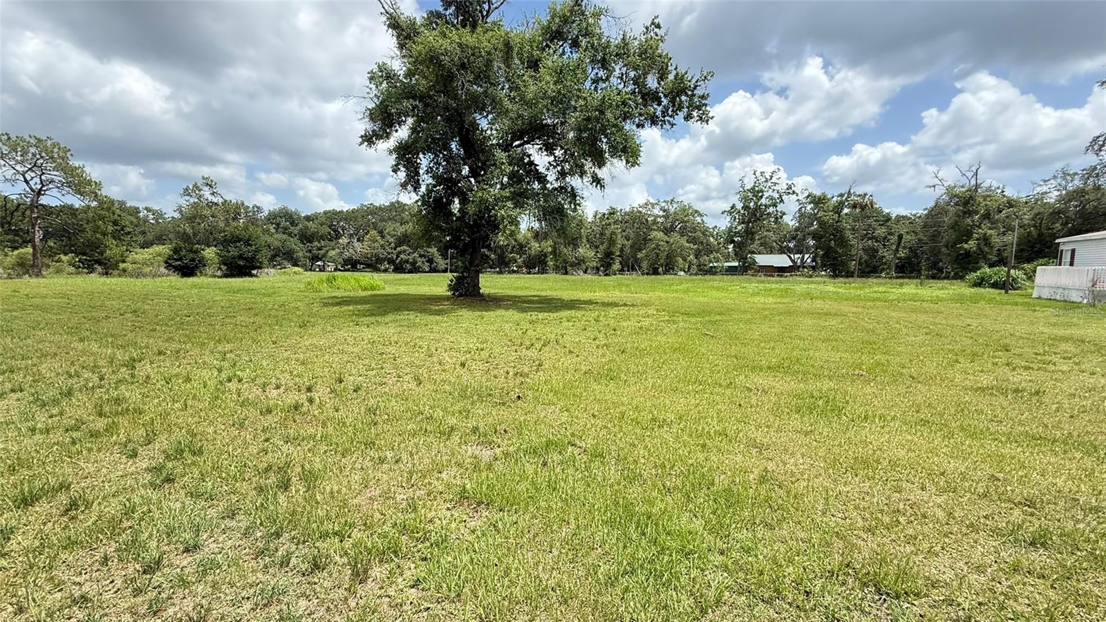 29956 New Dutch Ln Property Photo 5