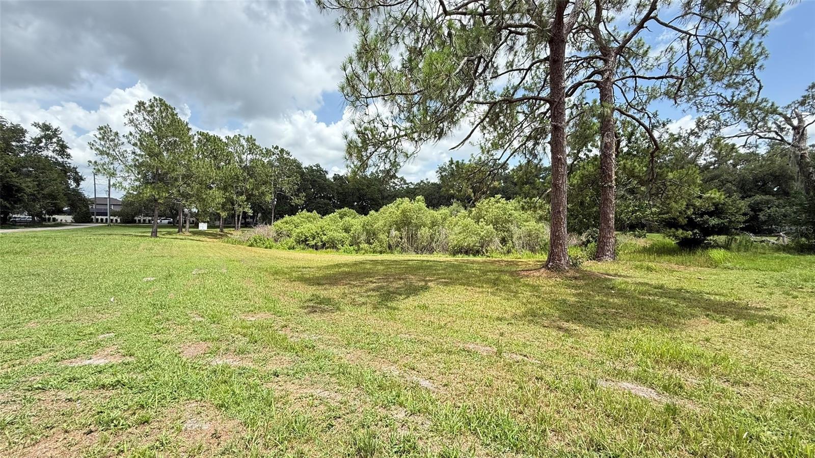 29956 New Dutch Ln Property Photo 6