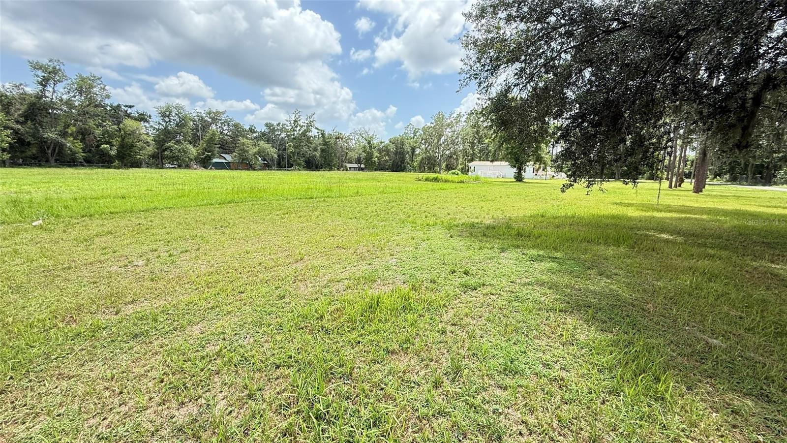 29956 New Dutch Ln Property Photo 7