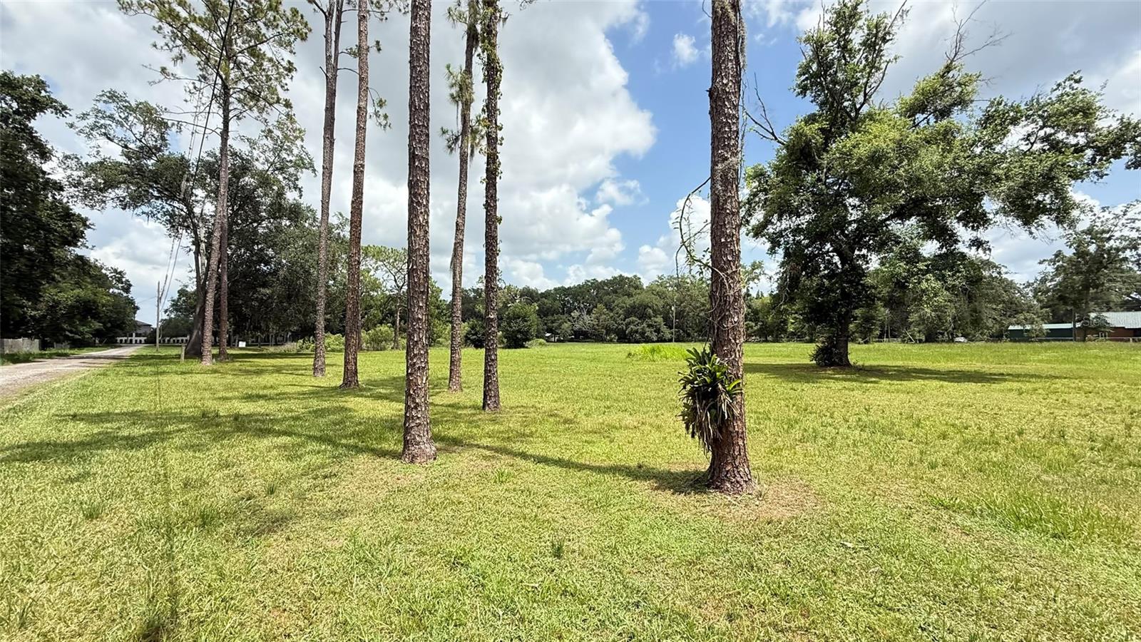29956 New Dutch Ln Property Photo 8