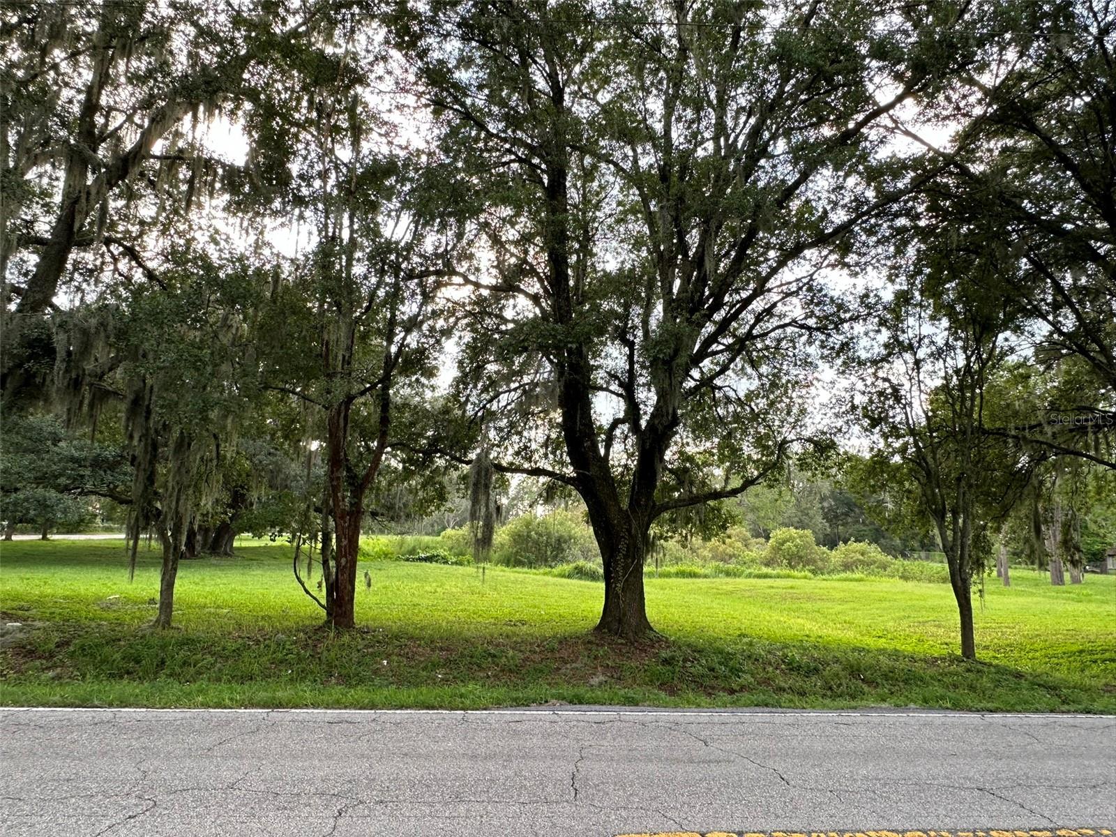 29956 New Dutch Ln Property Photo 10